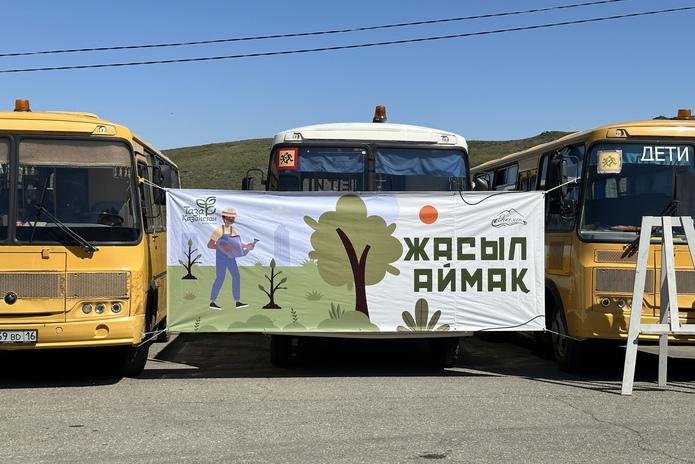 На смотровой площадке с госсимволами высадили деревья